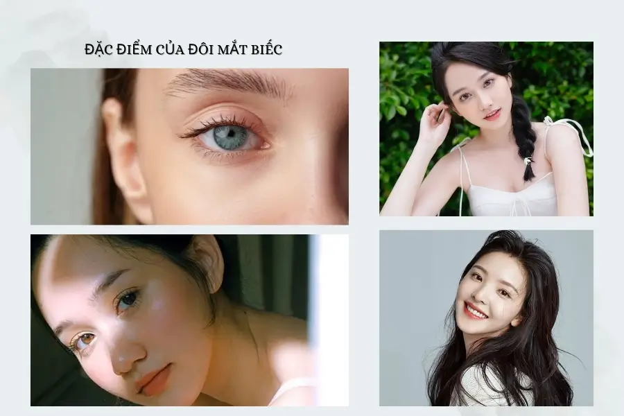 Đặc điểm của đôi mắt biếc là gì