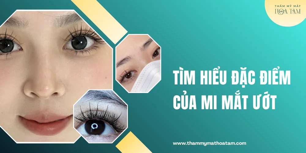 Mi mắt ướt thường để chỉ những đôi mắt có cảm giác long lanh, ẩm nhẹ