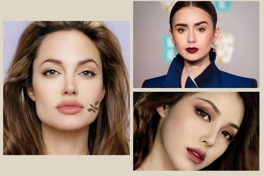 Đặc điểm nhận dạng lông mày cánh cung