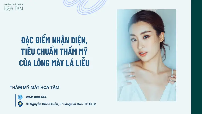 Đặc điểm nhận diện và tiêu chuẩn thẩm mỹ của lông mày lá liễu