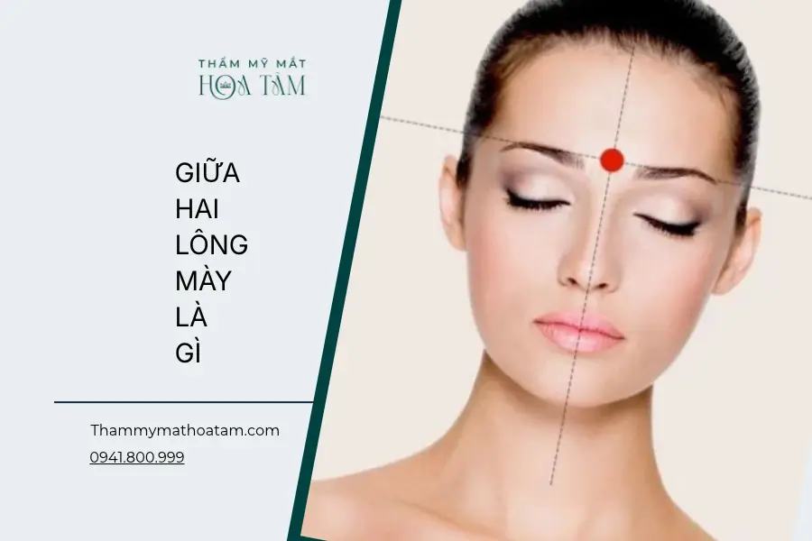 Giữa hai lông mày gọi là gì
