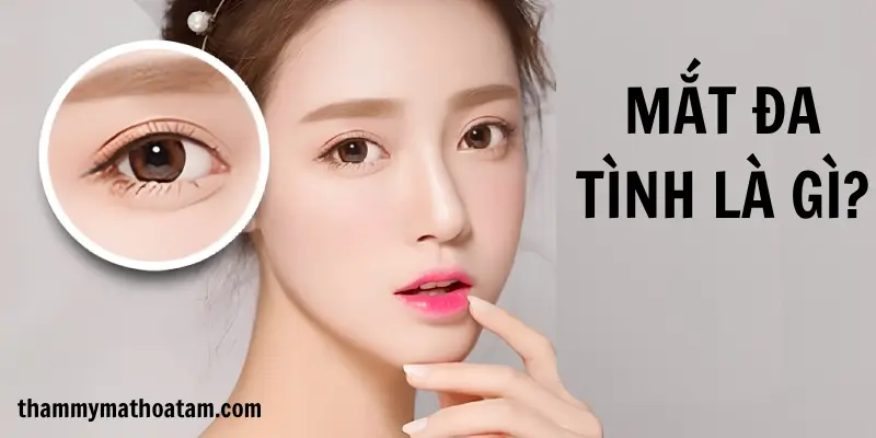 Dáng mắt đa tình Dáng mắt đa tình