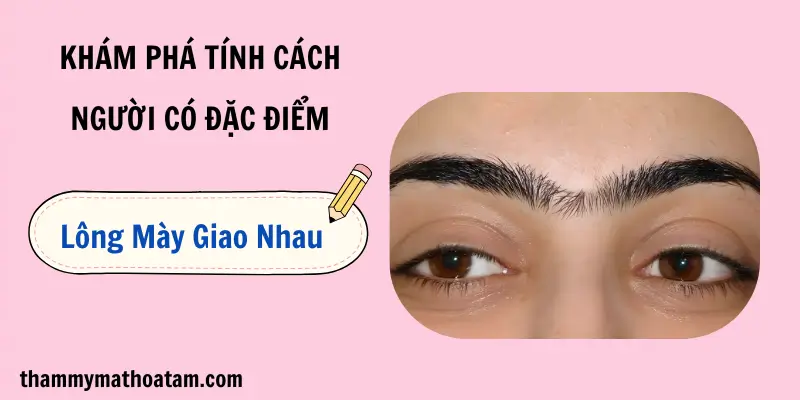 Người có dáng lông mày liền nhau thường khá nóng tính, ngang bướng Người có dáng lông mày liền nhau thường khá nóng tính, ngang bướng